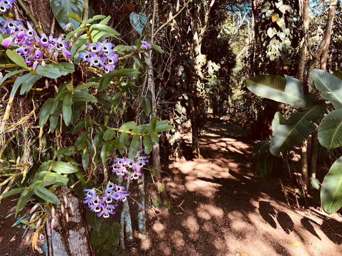 科蒂亚Chacara Quinta Dos Esquilos别墅 外观 照片